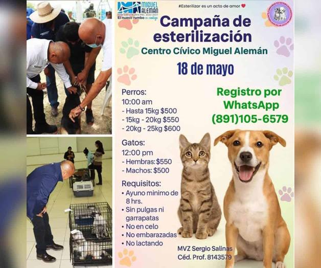 Invitan a campaña de esterilización