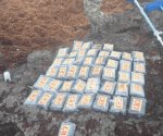 Aseguran 45 paquetes con cocaína en Playa del Carmen, Quintana Roo