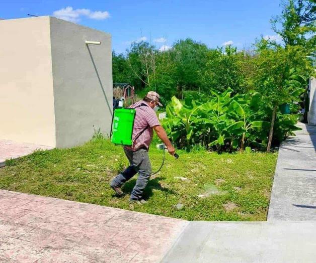 Intensifica municipio labores de fumigaci&oacute;n