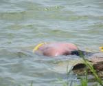 Autoridades y cuerpos de emergencia se encuentran tomando conocimiento del rescate del cadáver de un hombre del caudal de río bravo