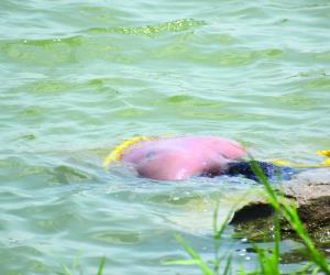 Autoridades y cuerpos de emergencia se encuentran tomando conocimiento del rescate del cadáver de un hombre del caudal de Río Bravo