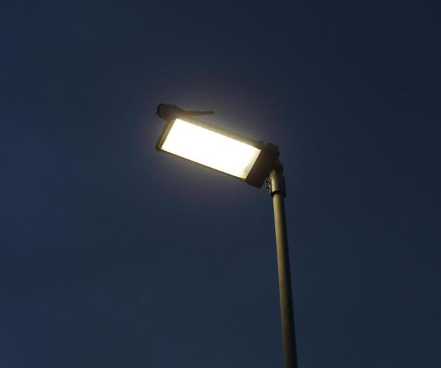 Comerciantes iluminan malecón de La Laguna en Reynosa Comerciantes iluminan malecón de La Laguna en Reynosa