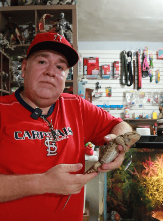 Serpientes se refugian en viviendas por calor