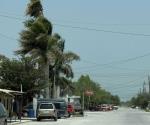 Viento tira ramas en Valle Hermoso