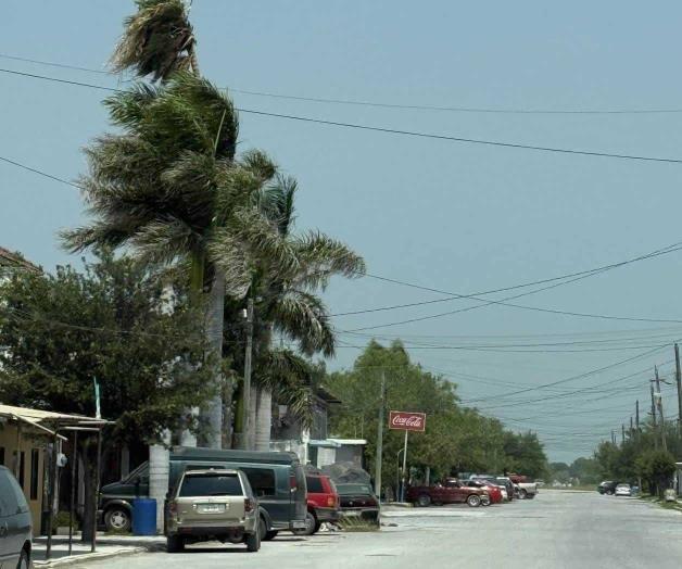 Viento tira ramas en Valle Hermoso Viento tira ramas en Valle Hermoso