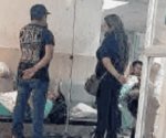 Cría de cocodrilo muerde a un niño