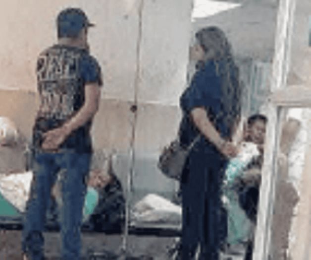 Cría de cocodrilo muerde a un niño