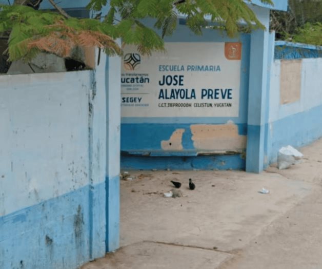 Maestro y 14 niños se intoxican en primaria de Celestún, Yucatán