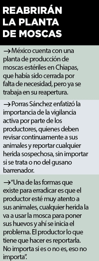 Avanza a Tamaulipas el gusano barrenador