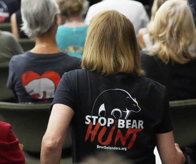 Aprueban previamente la caza de osos negros