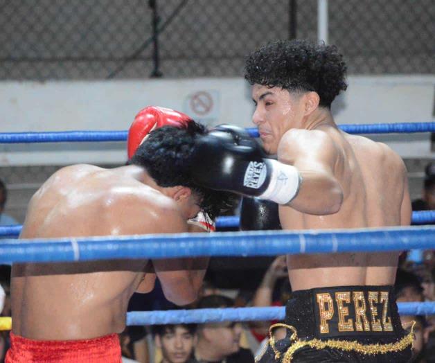 El &acute;Teddy&acute; debut&oacute; con una victoria