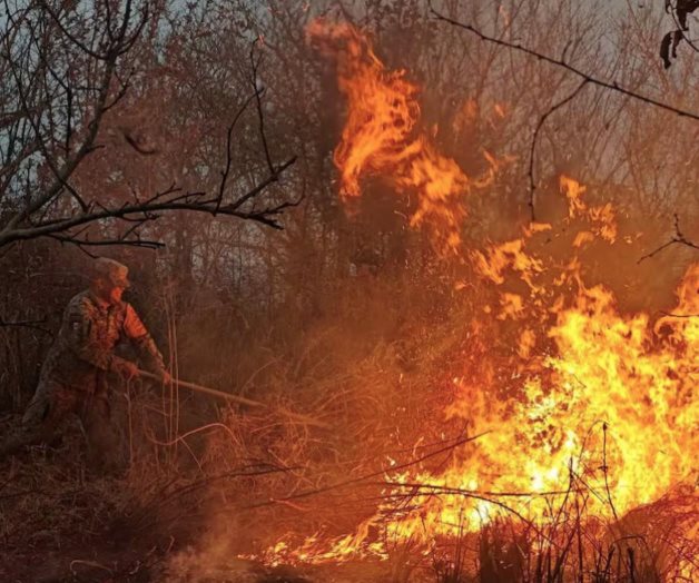 Ejército sofoca 3 incendios forestales en Veracruz Ejército sofoca 3 incendios forestales en Veracruz