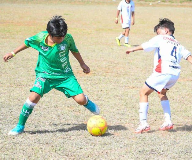 &iexcl;Que ruede el bal&oacute;n!