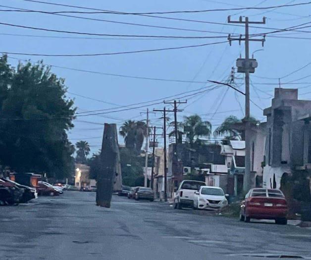 Dejan vientos árboles caídos y apagones Dejan vientos árboles caídos y apagones