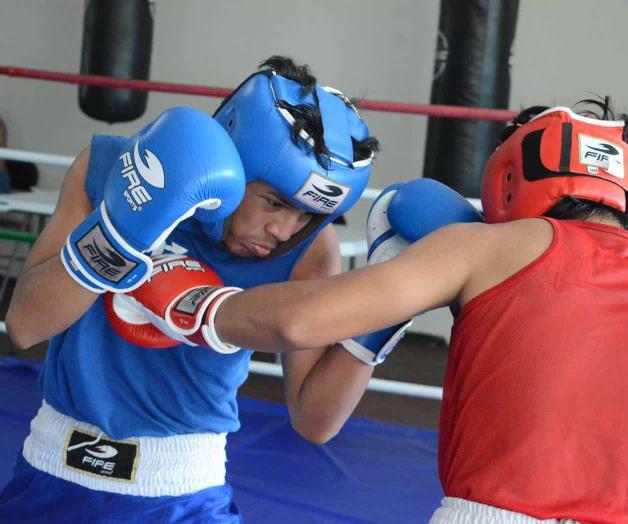 Preparan la guerra de campeones