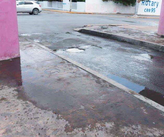 Molesta fuga de agua potable en la Calle Oaxaca de Colonia Rodr&iacute;guez