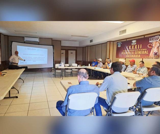 Deben ganaderos de Reynosa avisar por casos de gusano barrenador
