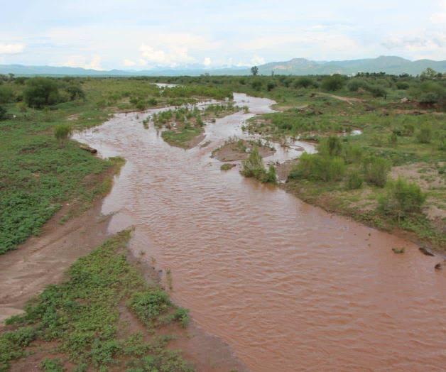 Remediación ambiental por derrame de sulfato de cobre en el Río Sonora