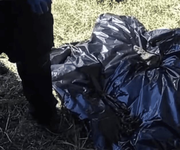 Hallan más de 15 cuerpos en fosa clandestina de Irapuato