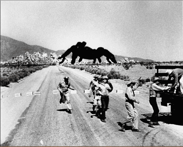 Por qué las arañas llevan 70 años reinando en el cine de terror