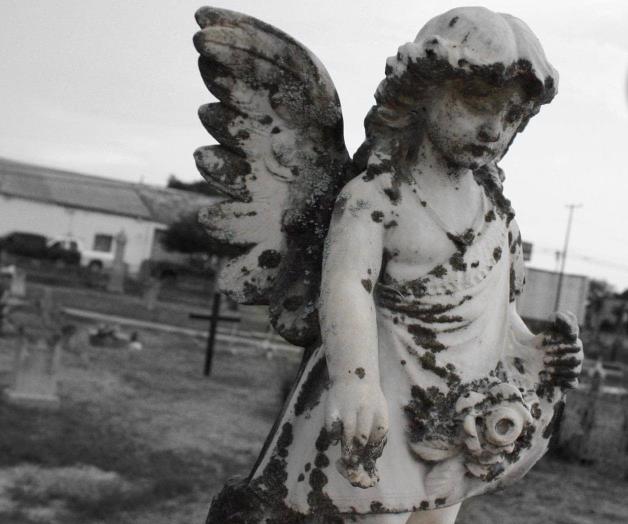 Cementerio histórico conecta generaciones Cementerio histórico conecta generaciones