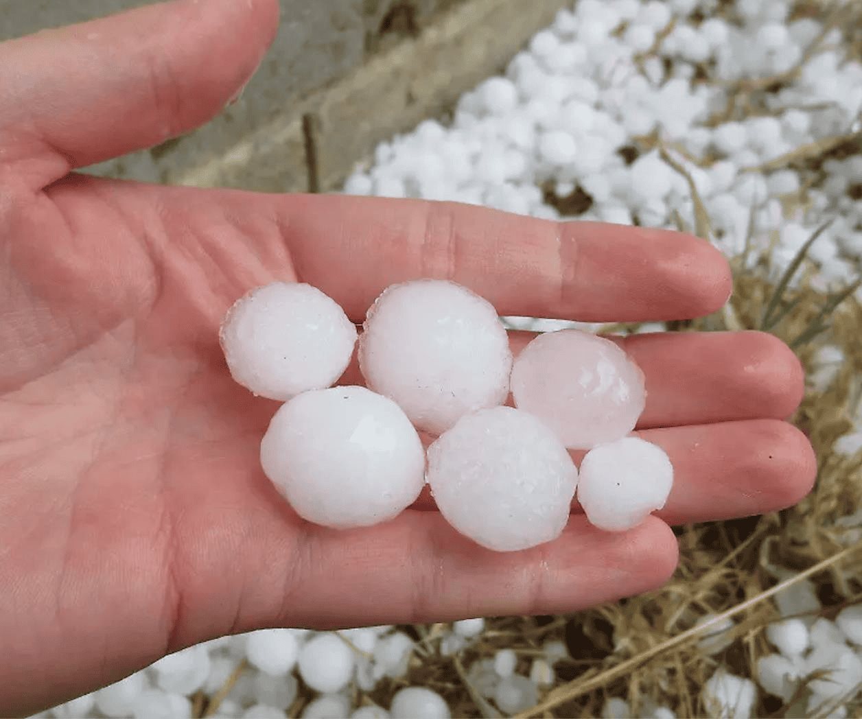 Alerta Protección Civil por pronóstico de lluvias y granizo en Tamaulipas