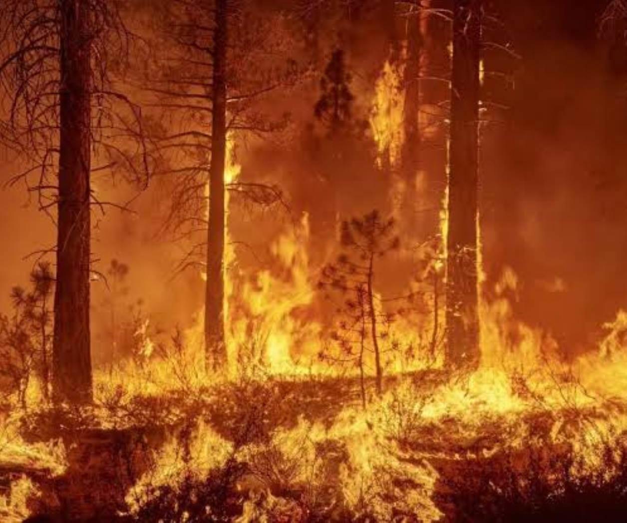 Quemas agropecuarias ocasionaron incendios
