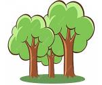 SE CORTAN ARBOLES 