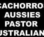 CACHORROS AUSSIES, PASTOR 