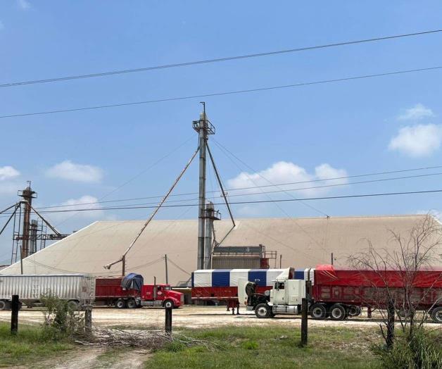 Sorgueros, a la deriva de compradores Sorgueros, a la deriva de compradores