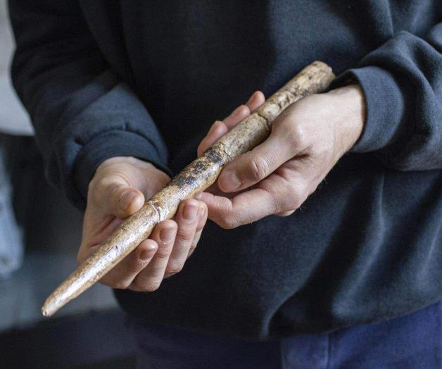Herramientas datan de hace 20 mil años, dicen científicos Herramientas datan de hace 20 mil años, dicen científicos
