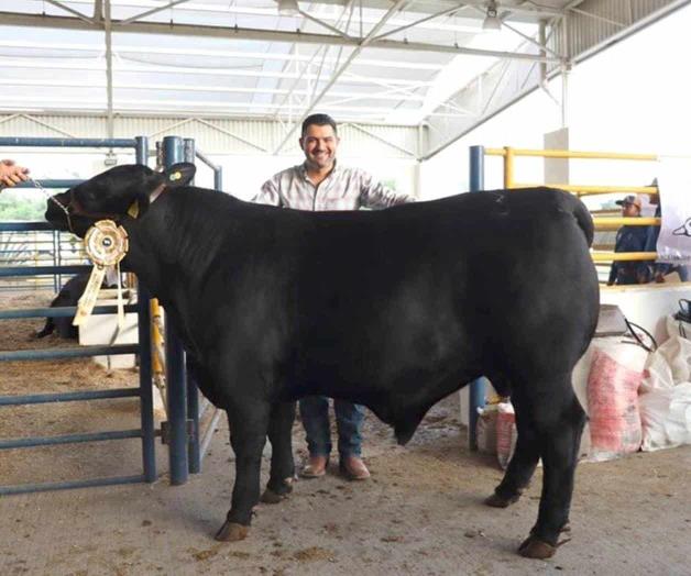 Implementación del protocolo de prevención y control del gusano barrenador en Nuevo León Implementación del protocolo de prevención y control del gusano barrenador en Nuevo León