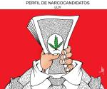 Perfil de narcocandidatos
