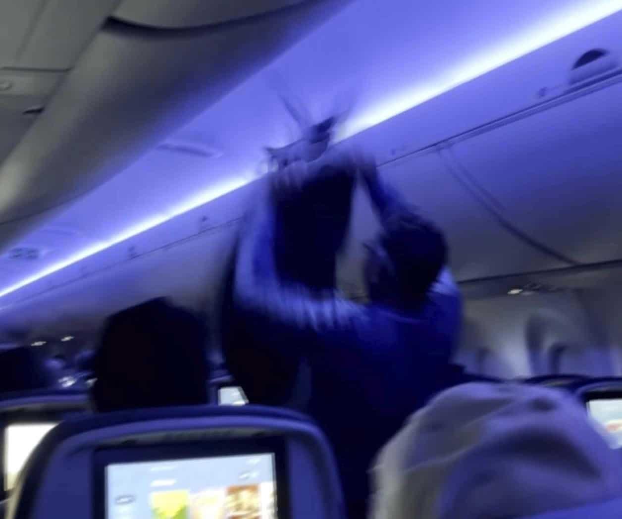 Palomas retrasan un vuelo de Delta