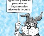 RECONOCIMIENTO