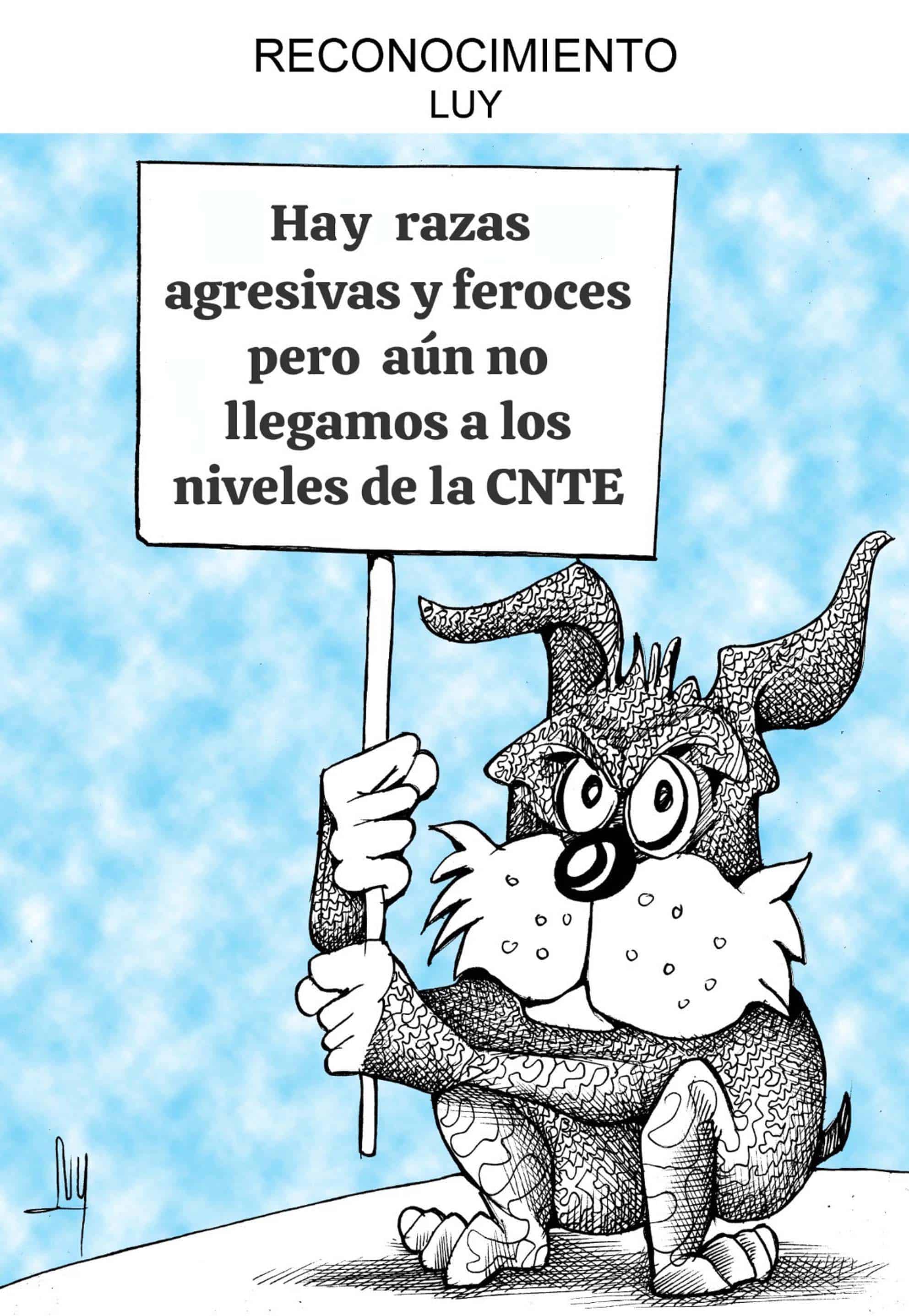 RECONOCIMIENTO
