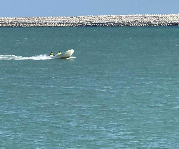 Multas y c&aacute;rcel para quien viole disposici&oacute;n de veda de camar&oacute;n en Laguna Madre