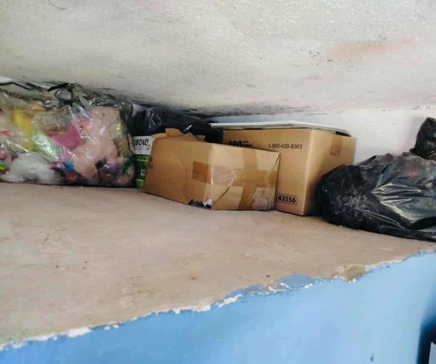 Roban en albergue canino