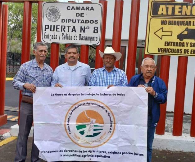 Productores piden apoyo en la CDMX Productores piden apoyo en la CDMX