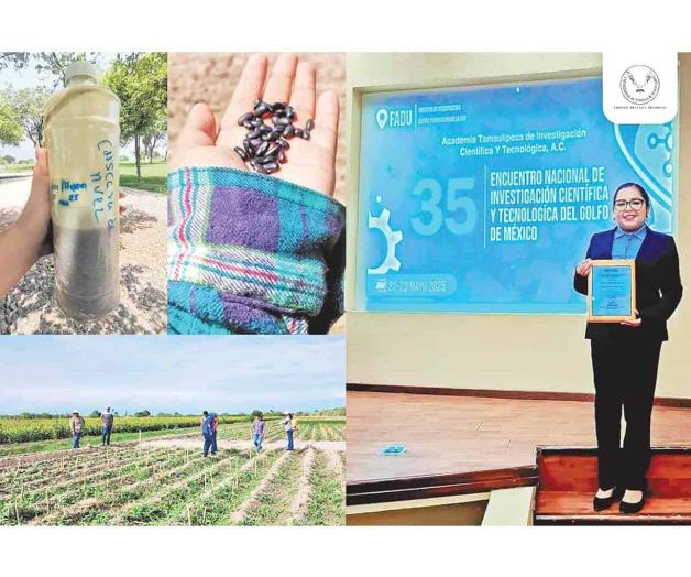 Elabora estudiante de  la UAT bioherbicida  para cultivos de frijol