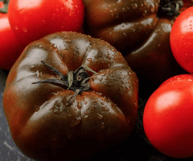 Cómo conservar los tomates frescos