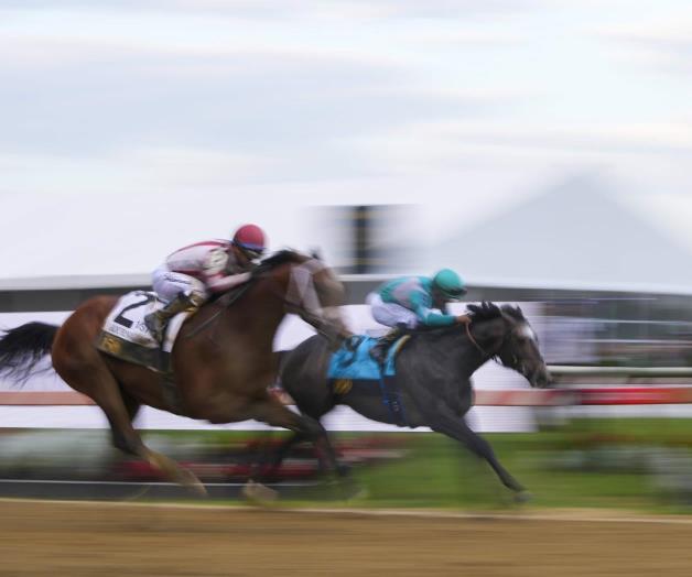 Journalism sale como favorito en Belmont Stakes Journalism sale como favorito en Belmont Stakes