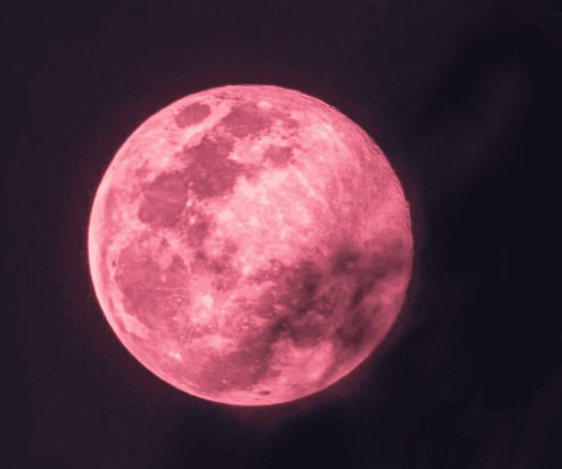 Fecha para observar la Luna de Fresa 2025 Fecha para observar la Luna de Fresa 2025