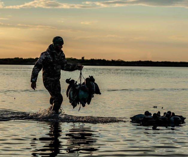 Termina cacería de guajolote silvestre Termina cacería de guajolote silvestre