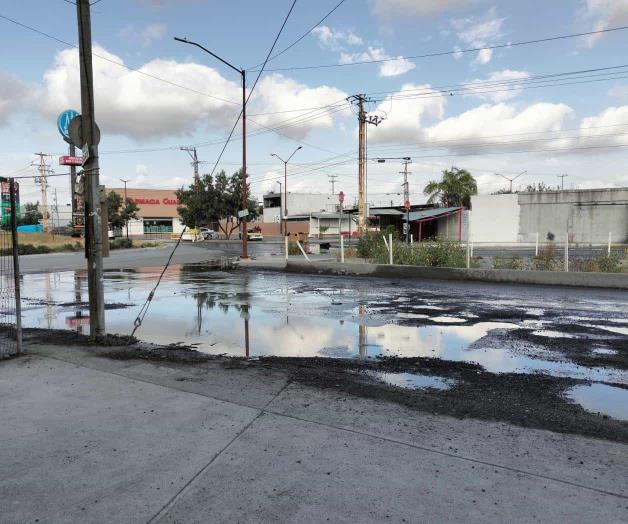 Resurgen baches en Las Bugambilias Resurgen baches en Las Bugambilias