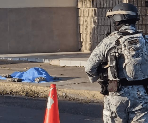 Fiscal&iacute;a investiga 24 hallazgos de restos humanos en Sinaloa