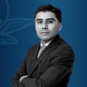 Lisandro Morales Silva