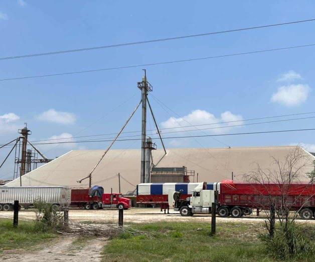 Piden a productores cobrar sus cosechas Piden a productores cobrar sus cosechas