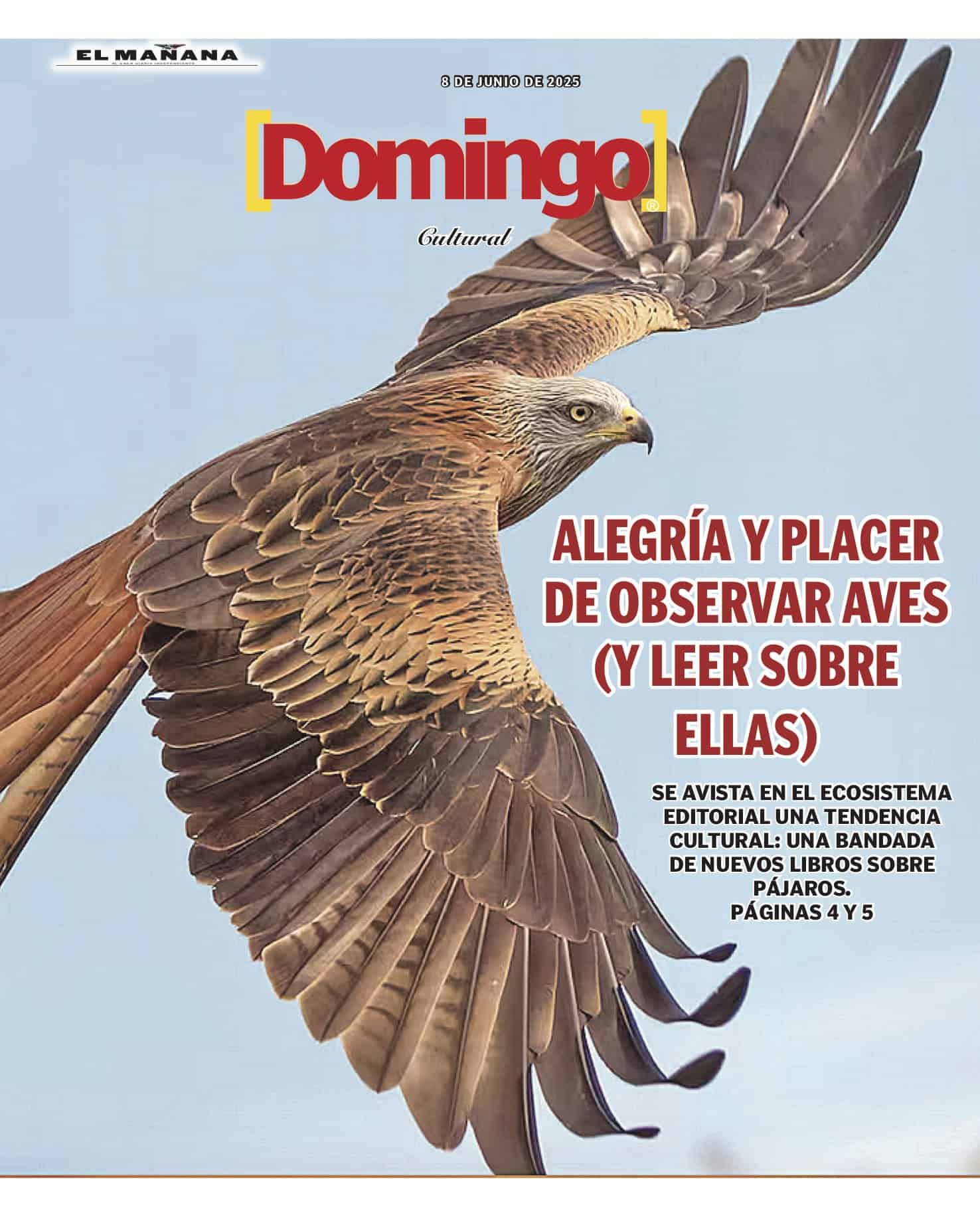 Portada Suplementos El Mañana
