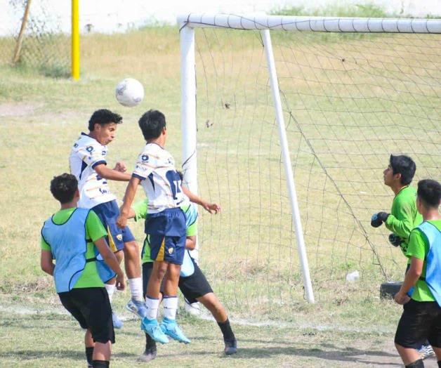 Quieren Pumas estar en liguilla Quieren Pumas estar en liguilla
